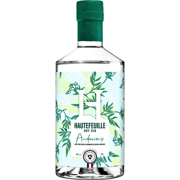 GIN Audacieux 