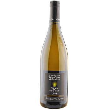 IGP D'Urfée "Sauvignons Gris et Blanc" 2023