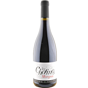 Morgon "Les Charmes" 2022